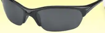 Big 5 Nike Skylon Exp 2 Polarized Sunglasses offer