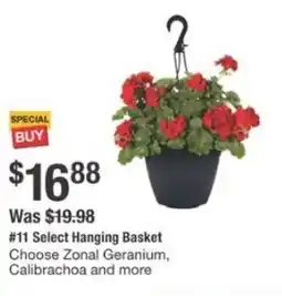The Home Depot Hanging basket offer