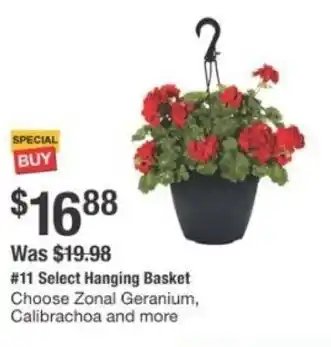 The Home Depot Hanging basket offer