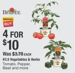 The Home Depot Vegetables & herbs offer