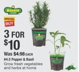 The Home Depot Pepper & basil offer