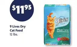 Family Dollar 9 Lives Dry Cat Food offer