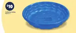 Family Dollar ToyMazing Wading Pool offer