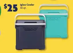 Family Dollar Igloo Cooler offer