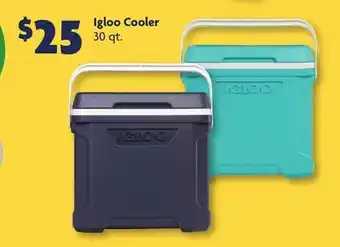 Family Dollar Igloo Cooler offer
