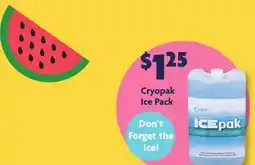 Family Dollar Cryopak Ice Pack offer