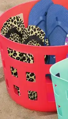Family Dollar Ezy Storage Aura Storage Baskets offer