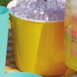 Family Dollar Plastic Ice Bucket offer
