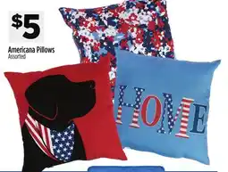 Dollar General Americana Pillows offer