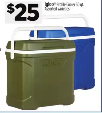 Dollar General Igloo Profi le Cooler offer