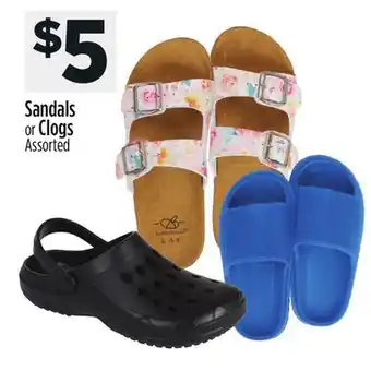 Dollar General Sandals or Clogs offer