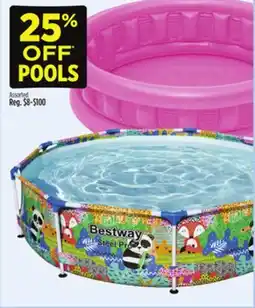 Dollar General POOLS offer