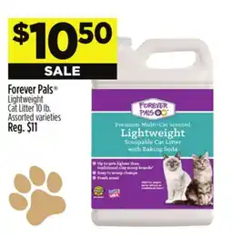 Dollar General Forever Pals Lightweight Cat Litter offer