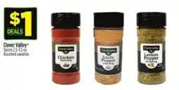 Dollar General Clover Valley Spices offer