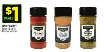 Dollar General Clover Valley Spices offer
