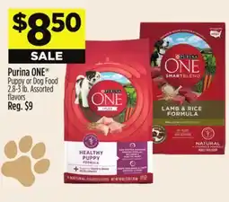 Dollar General Purina ONE Puppy or Dog Food offer