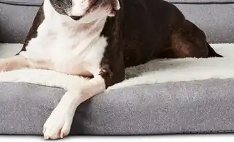 Target Boots & Barkley dog bed offer