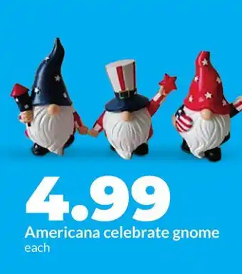 Hy-Vee Americana celebrate gnome offer