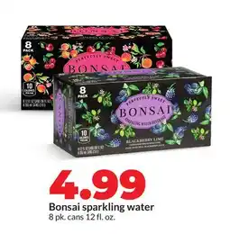Hy-Vee Bonsai sparkling water offer
