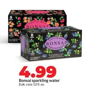 Hy-Vee Bonsai sparkling water offer