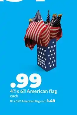 Hy-Vee 4 x 6 American flag offer