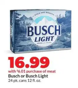 Hy-Vee Busch or Busch Light offer