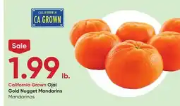 Stater Bros Ojai Gold Nugget Mandarins offer