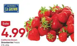 Stater Bros Strawberries offer