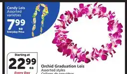 Albertsons Orchid Graduation Leis offer