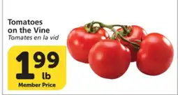 Albertsons Tomatoes on the Vine offer
