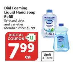 Albertsons Dial Foaming Liquid Hand Soap Refill offer