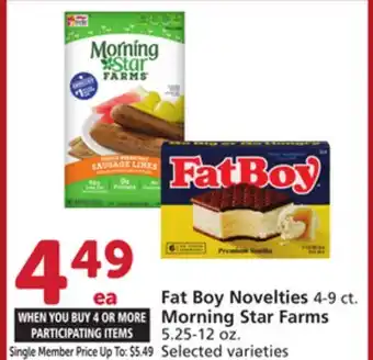 Albertsons Fat Boy Novelties 4-9 ct. Morning Star Farms 5.25-12 oz offer