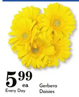 Pavilions Gerbera Daisies offer
