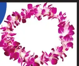 Vons Orchid Graduation Leis offer