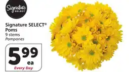 Vons Signature SELECT Poms offer