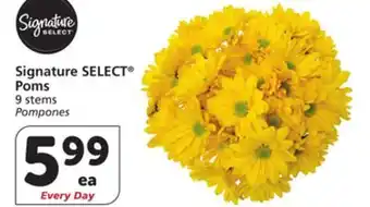 Vons Signature SELECT Poms offer