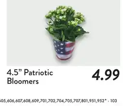Fresh Thyme 4.5 Patriotic Bloomers offer