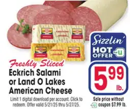 Jewel-Osco Eckrich Salami or Land O Lakes American Cheese offer