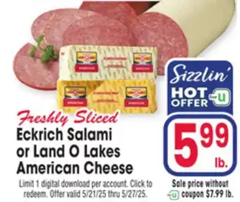 Jewel-Osco Eckrich Salami or Land O Lakes American Cheese offer
