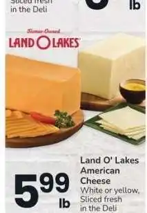 Albertsons Land O Lakes American Cheese - White or yellow, Sliced fresh in the Deli offer