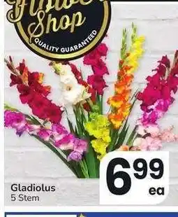 Albertsons GLADIOLUS - 5 Stem offer