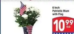 Albertsons 6 Inch Patriotic Mum with Flag offer