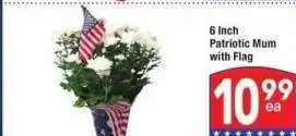 Albertsons 6 Inch Patriotic Mum with Flag offer