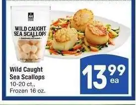 Albertsons Wild Caught Sea Scallops - 10-20 ct., Frozen 16 oz offer
