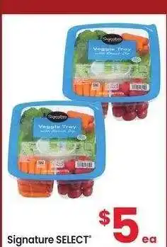 Albertsons Signature SELECT Veggie Tray - 20 oz offer