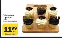 Albertsons Celebration Cupcakes - 12 ct. Selected varieties offer