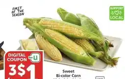 Albertsons Sweet Bi-Color Corn - Member Price: 2 for $1 offer