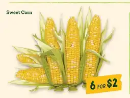 Sprouts Farmers Market Sweet Corn offer