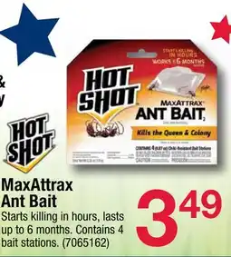 Ace Hardware MaxAttrax Ant Bait offer