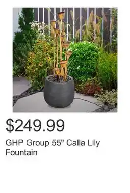 Costco GHP Group 55 Calla Lily Fountain offer